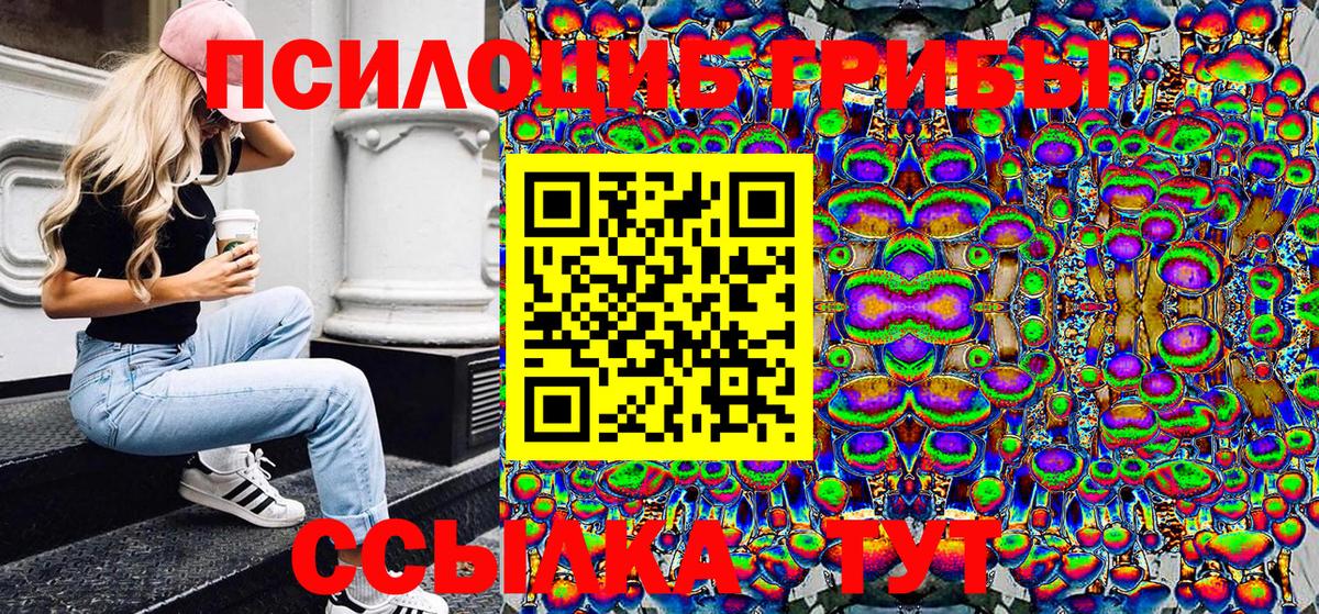 Семёнов  Галлюциногенные грибы Psilocybine cubensis  Вход с VPN 